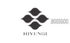 HIVENGI
