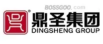 Dingsheng Group  