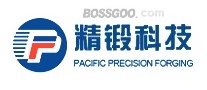 Jiangsu Precision Forging Technology Co