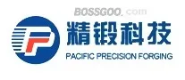 Jiangsu Precision Forging Technology Co