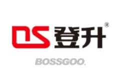 DS DENSHENG
