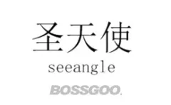 SEEANGEL