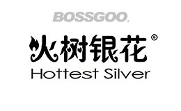 Hottest Silver