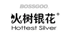 Hottest Silver