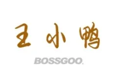 Wang Xiaoya