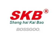 SKB