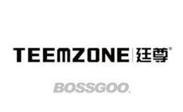 TEEMZONE