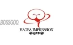 Hao 8 Impression