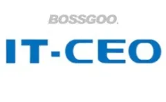 IT-CEO