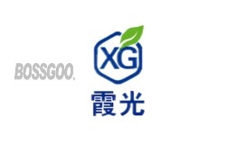 XG