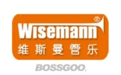 VSM