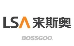 LSA