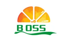 BOSSE