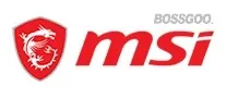 MSI