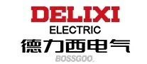 Delixi Electric