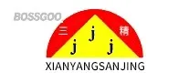 San Jing Technology
