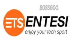 ENTESI