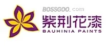 Bauhinia Paint