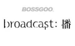 Broadcast: BoY