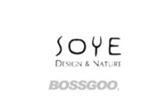 SOYE