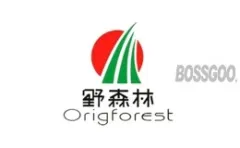 Wild Forest