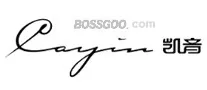 Cayin