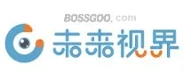Brand Future Vision