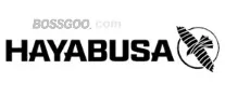 Hayabusa
