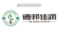 Debon Jiarun
