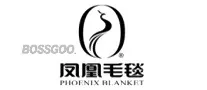 Phoenix Blanket
