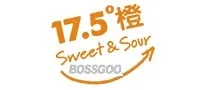 17.5° Orange