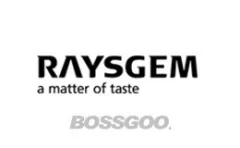 RAYSGEM