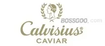 Calvisius