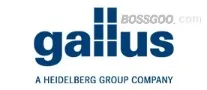 Gallus