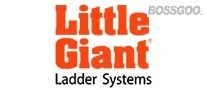LittleGiant
