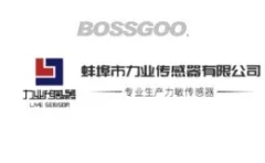 Bengbu Liye Sensor