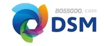 DSM - Royal DSM N.V.