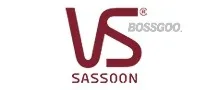 Brand VS VS Sassoon