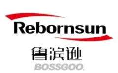 REBORNSUN