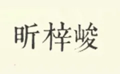 Xinzijun