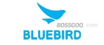 BLUEBIRD