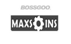 MAXSOINS