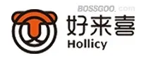 Hollicy