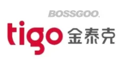 Tigo