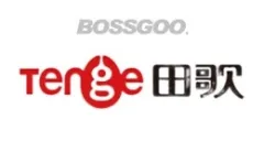 Tenge