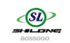 Silong