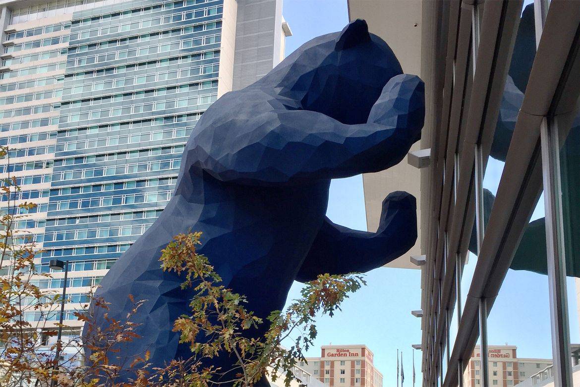 Denver Blue Bear.jpg