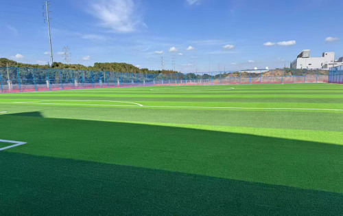 Perspectives pour 2025 : état actuel et opportunités de l’industrie des pelouses artificielles