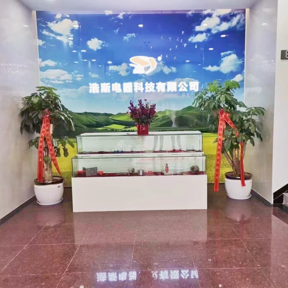 Jiangsu Haosi Electrical Technology Co.,Ltd