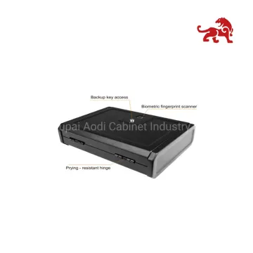 Asia's Top 10 Storage Gun Safe Brand List